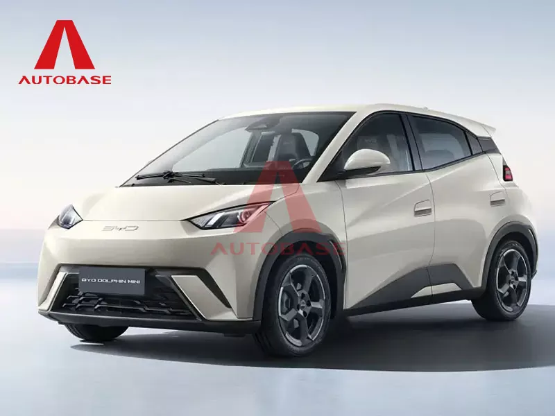 BYD Racek